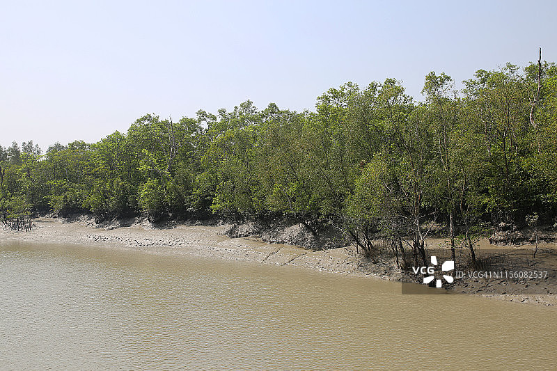 孙德尔本斯国家公园在孟加拉国图片素材