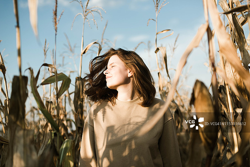美丽的肖像，一个年轻时尚的女人在玉米田图片素材
