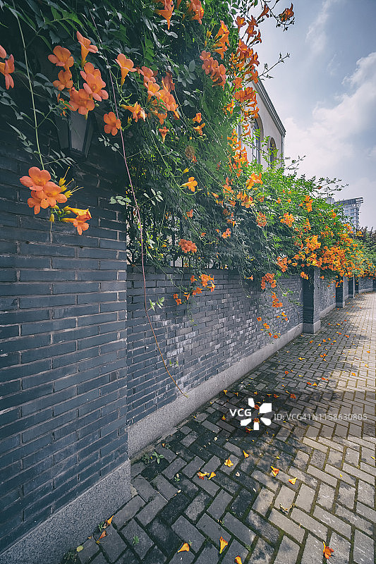 中国杭州的花墙图片素材