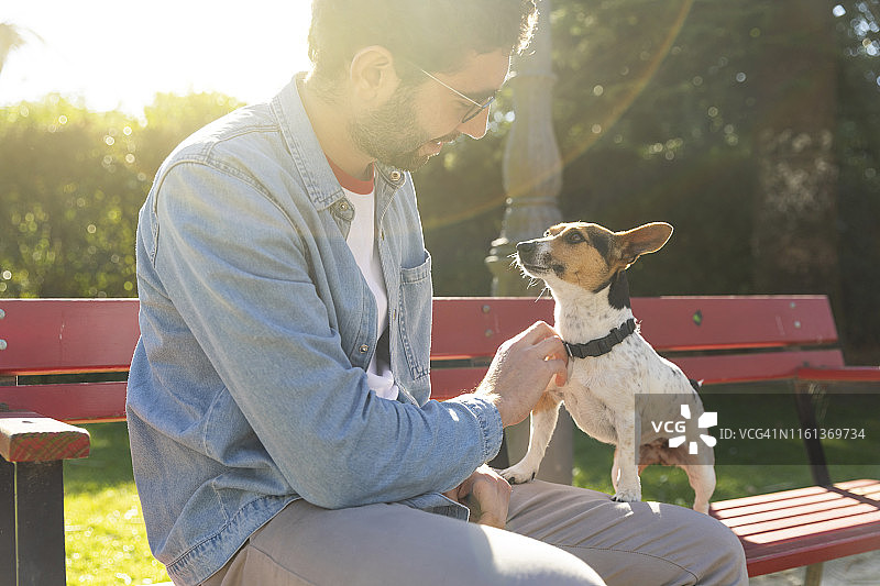 一个年轻人坐在公园长椅上给他的狗挠痒痒图片素材