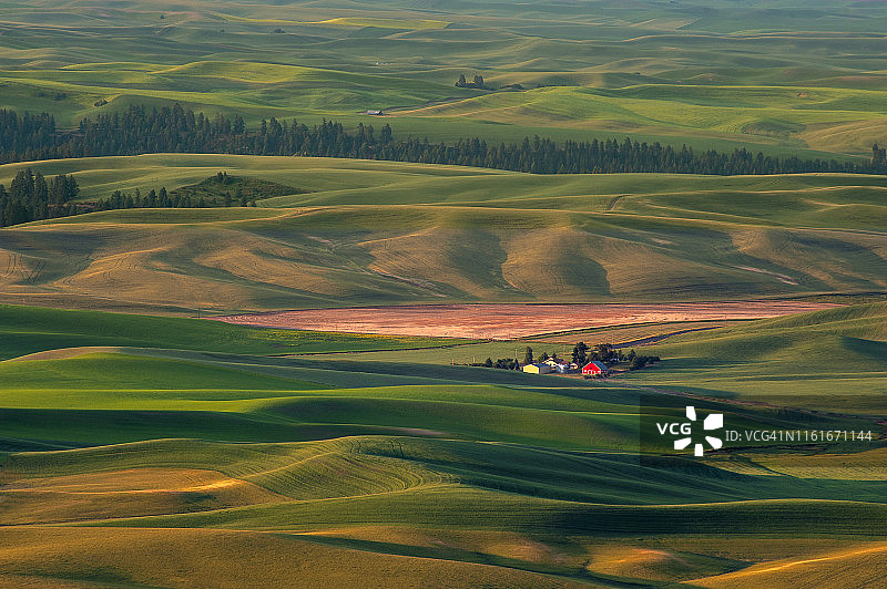 美丽的农田图案从斯特普托丘，华盛顿。图片素材
