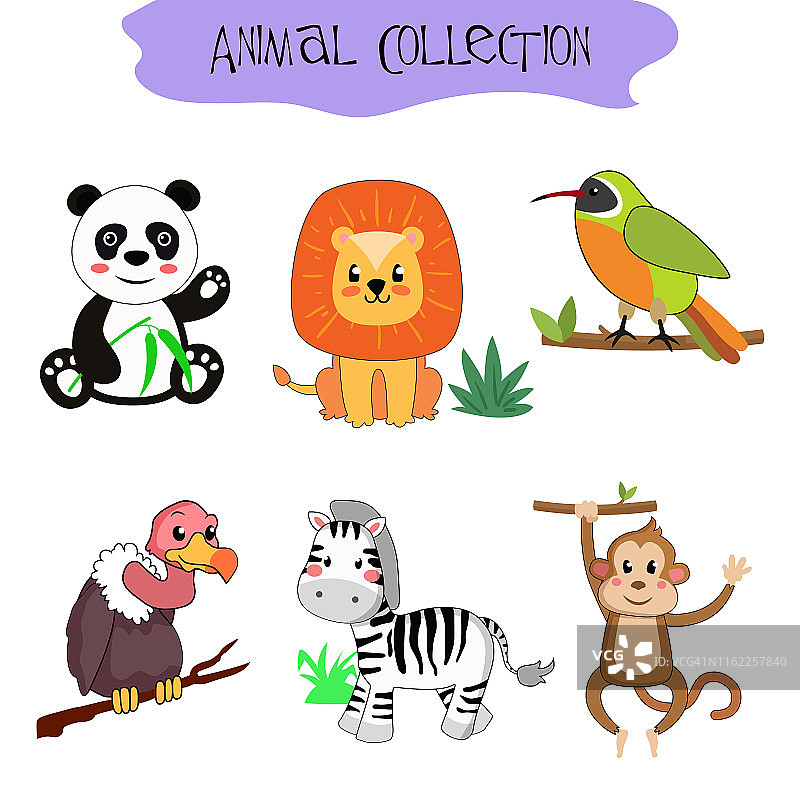 一组孤立的动物和鸟类。熊猫，狮子，鸟，秃鹫，斑马，猴子图片素材