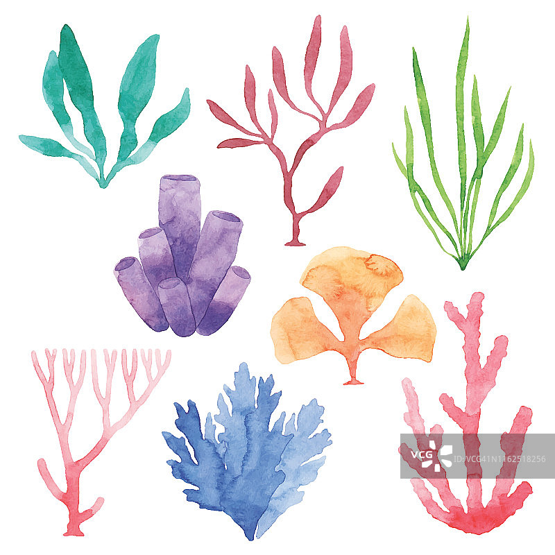 水彩海洋植物集图片素材