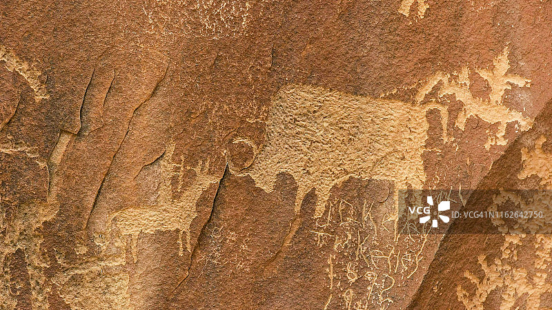 一个野牛狩猎现场的特写在报纸岩石，犹他州图片素材