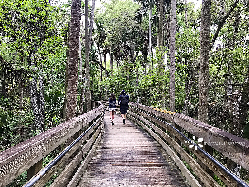 女孩和父亲在佛罗里达丛林的木板路上散步图片素材