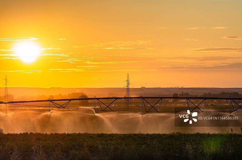 中央支点灌溉系统在日落时分灌溉玉米地的风景图片素材