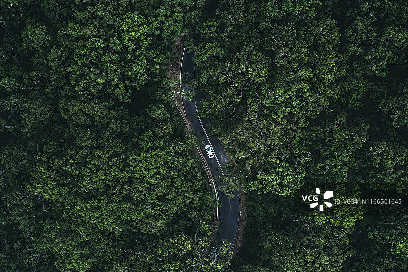 正上方视角拍摄南澳大利亚汽车穿过一片森林图片素材