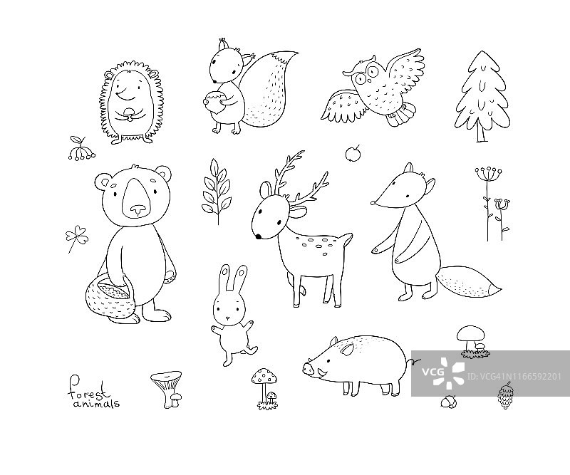 森林里的动物。设置可爱的卡通熊，狐狸，野兔和松鼠，猫头鹰和鹿。图片素材