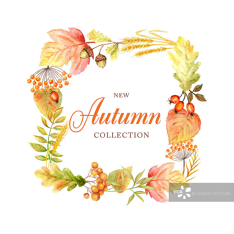 秋叶明亮的框架孤立在一个白色的背景。水彩秋叶手绘插画。新的秋季时装图片素材