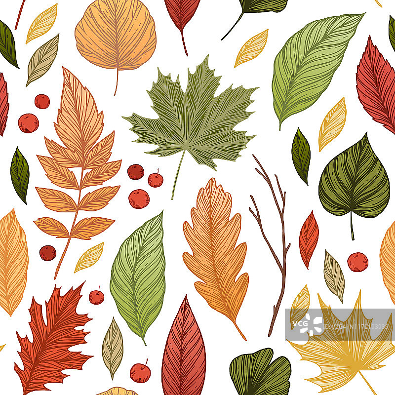 手绘矢量插图。无缝图案与秋叶。森林的背景。秋天的颜色图片素材