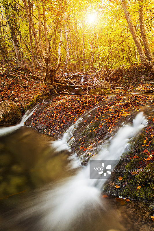 美丽的秋天风景与瀑布在秋天的森林图片素材