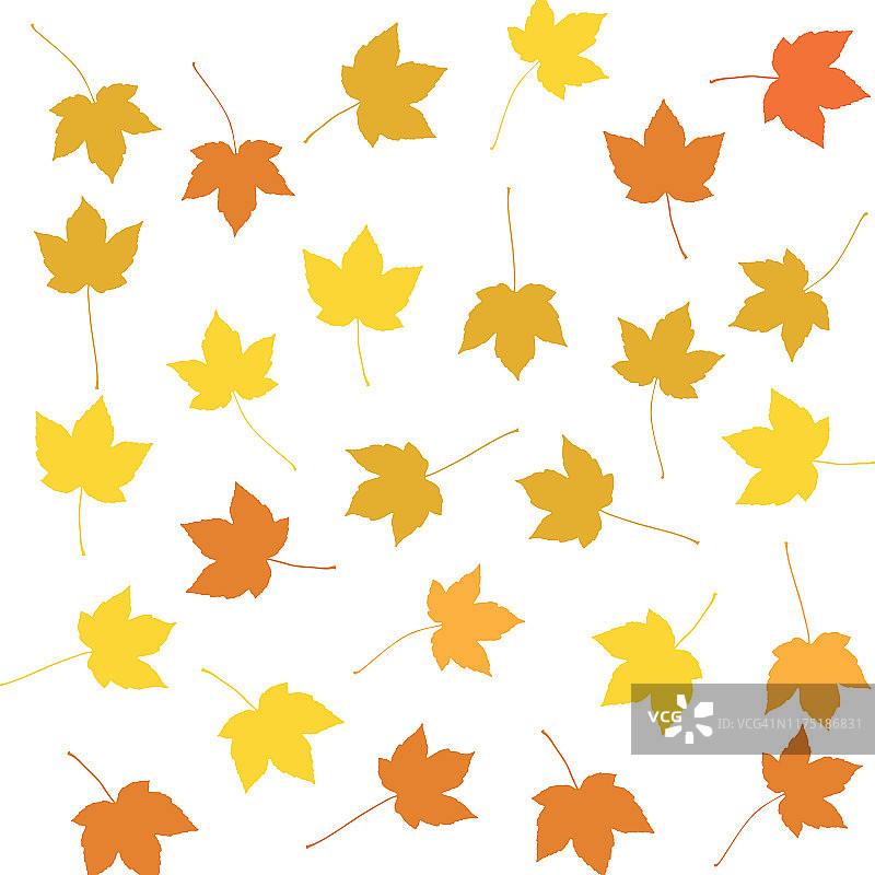 色彩缤纷的秋天枫叶图案上的白色背景图片素材