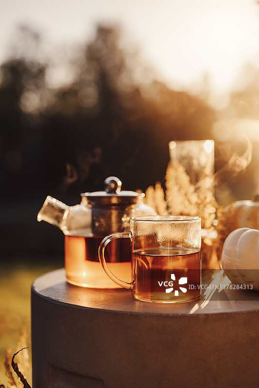 秋天茶时间户外日出美丽的自然阳光图片素材