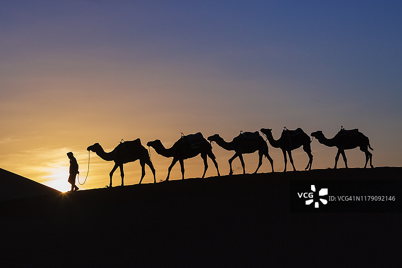 一个柏柏尔人在沙丘里牵着骆驼的肖像图片素材