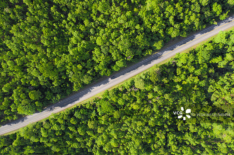 俯视图弯弯曲曲的道路中间的绿色森林。神奇的自然景观。无人机鸟瞰图。夏天绿树和路在森林里。图片素材