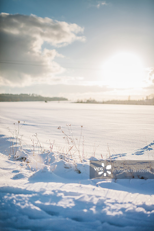 冬天的田野被雪覆盖图片素材