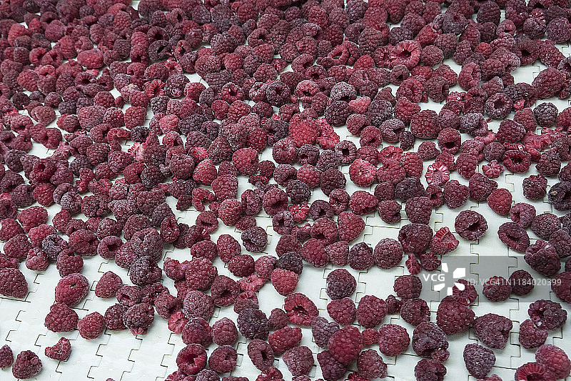 冷冻树莓图片素材