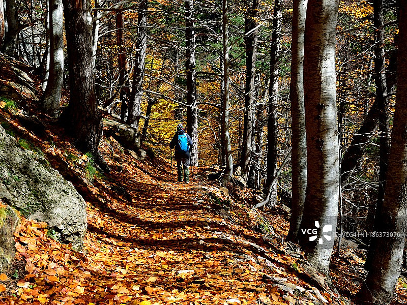 秋天在奥德萨国家公园散步图片素材