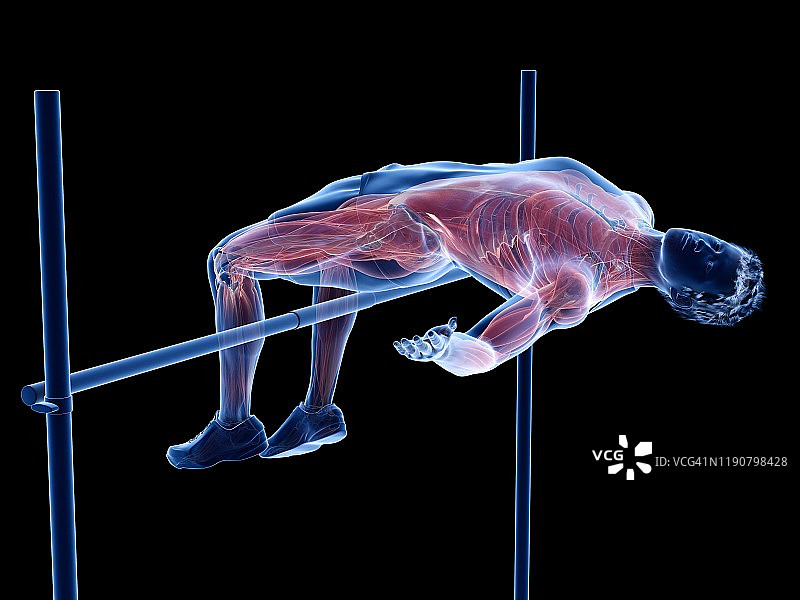 跳高运动员的肌肉，说明图片素材