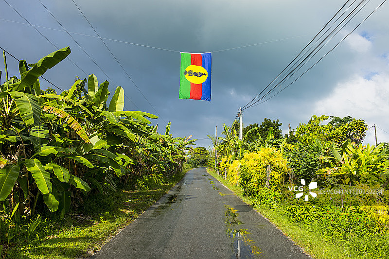 在新喀里多尼亚忠诚群岛的乌维亚，卡纳克运动的旗帜悬挂在树木旁的道路上图片素材