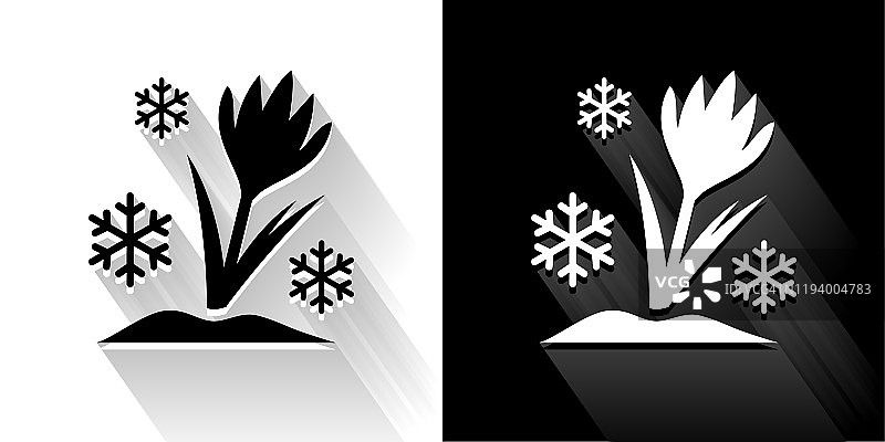 花和雪花黑色和白色图标与长影子图片素材