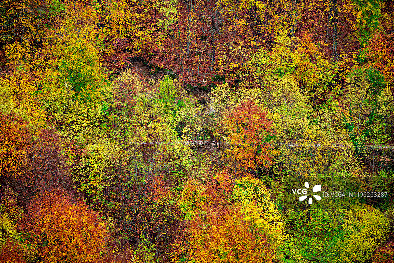 秋天的色彩斑斓的作品图片素材