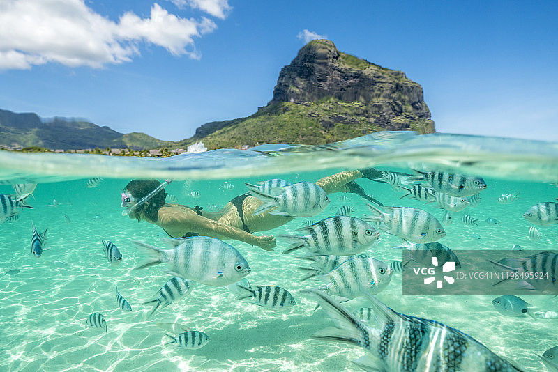 妇女浮潜与热带鱼，印度洋，毛里求斯图片素材