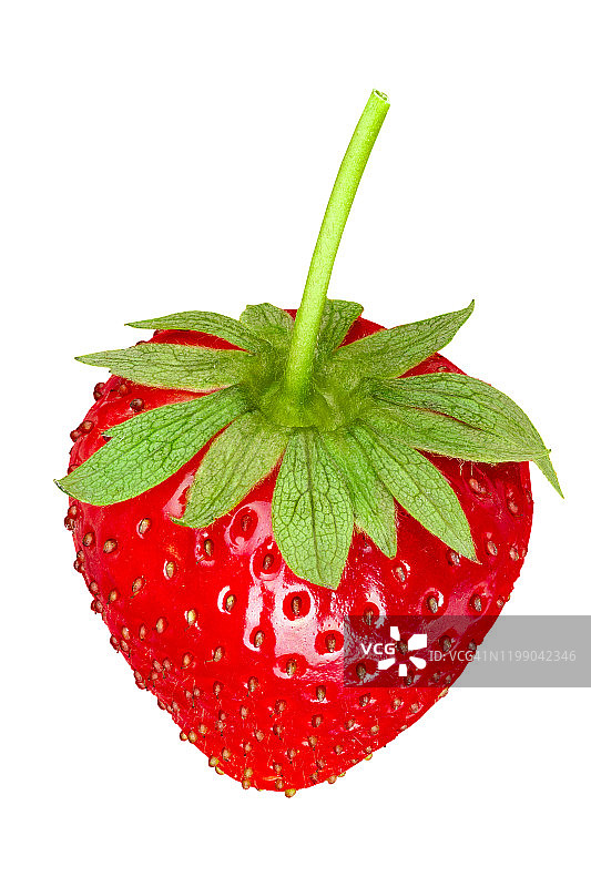 孤立在白色背景上的成熟草莓。图片素材