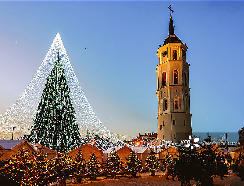 维尔纽斯大教堂广场上的圣诞树图片素材