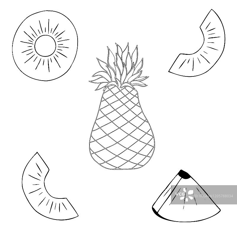设置菠萝装饰元素，涂鸦矢量热带水果插画图片素材