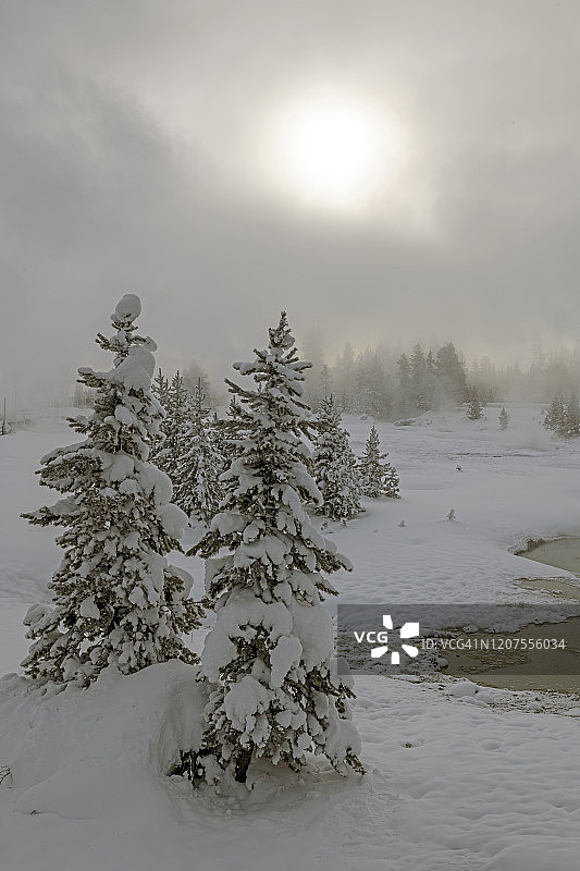 黄石国家公园的冬天图片素材