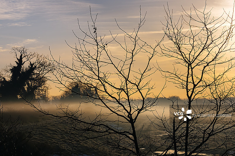 冬日清晨，神秘的雾笼罩着树木和树枝的剪影图片素材