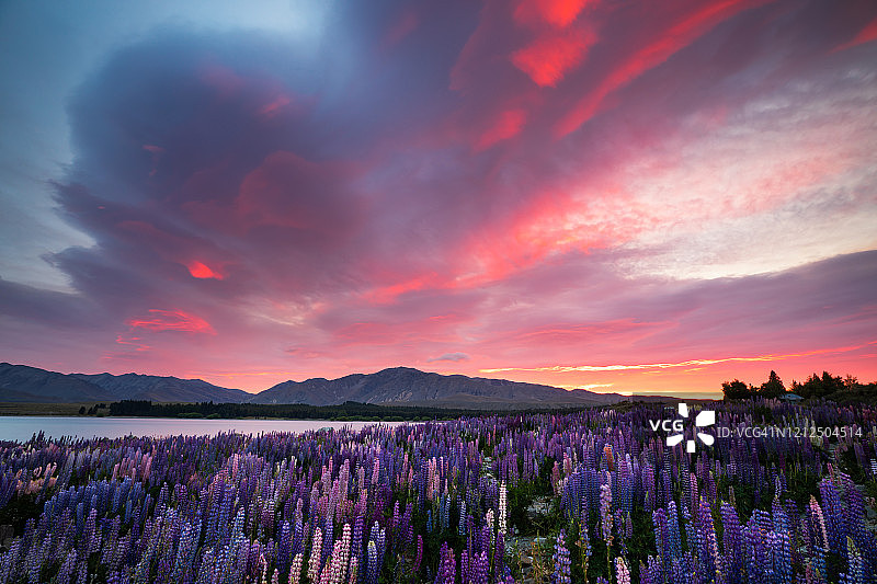 新西兰日出时的特卡波湖和罗宾菲尔德景观图片素材
