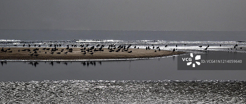 鸟群聚集在阿曼库拉亚特附近的阿曼海海岸图片素材