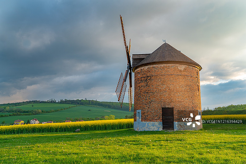 捷克共和国摩拉维亚的乡村景观，有风车和油菜籽田图片素材