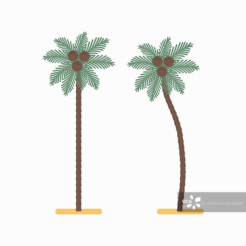 棕榈树与椰子矢量简单的平面图标孤立在白色背景。图片素材