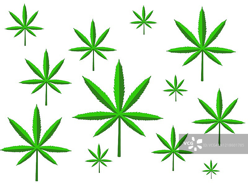 大麻树叶背景图片素材