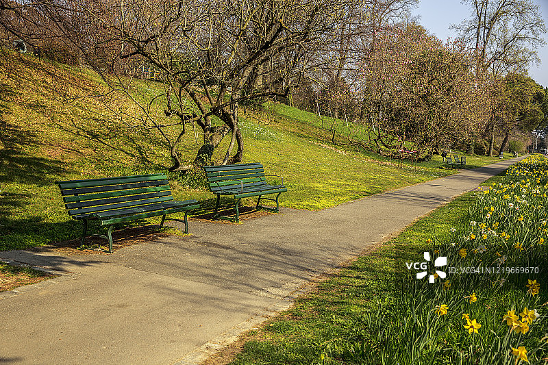 在COVID-19隔离期间，洛桑一个公园的空长椅图片素材