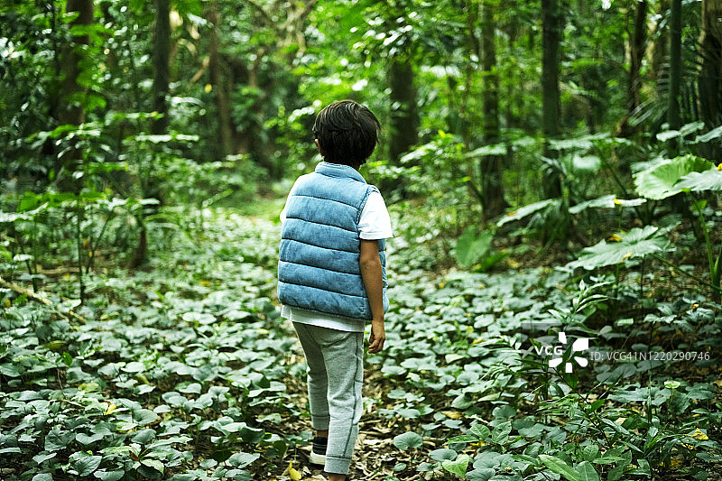 探索森林的男孩图片素材