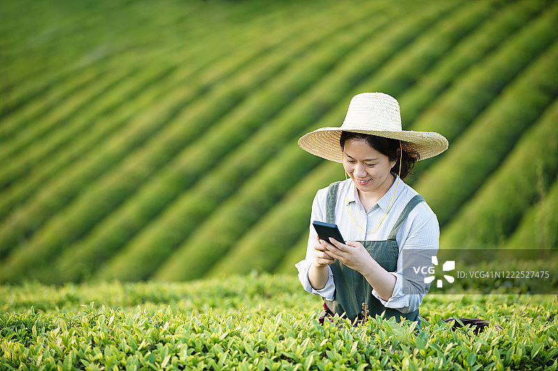 亚洲女性在茶园使用智能手机图片素材