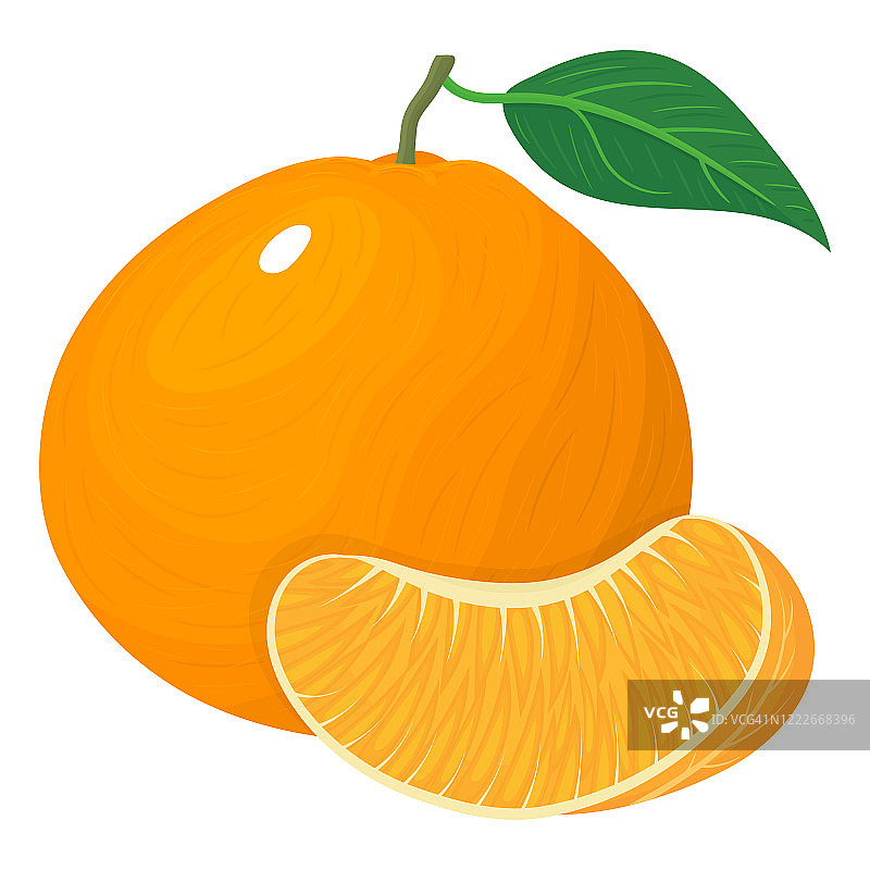 新鲜明亮的异国情调的整体和切片橘子或柑桔孤立在白色的背景。夏日水果，健康生活方式。有机水果。矢量插图为任何设计。图片素材