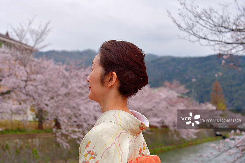 穿着和服的日本妇女在京都冈崎运河周围欣赏樱花图片素材