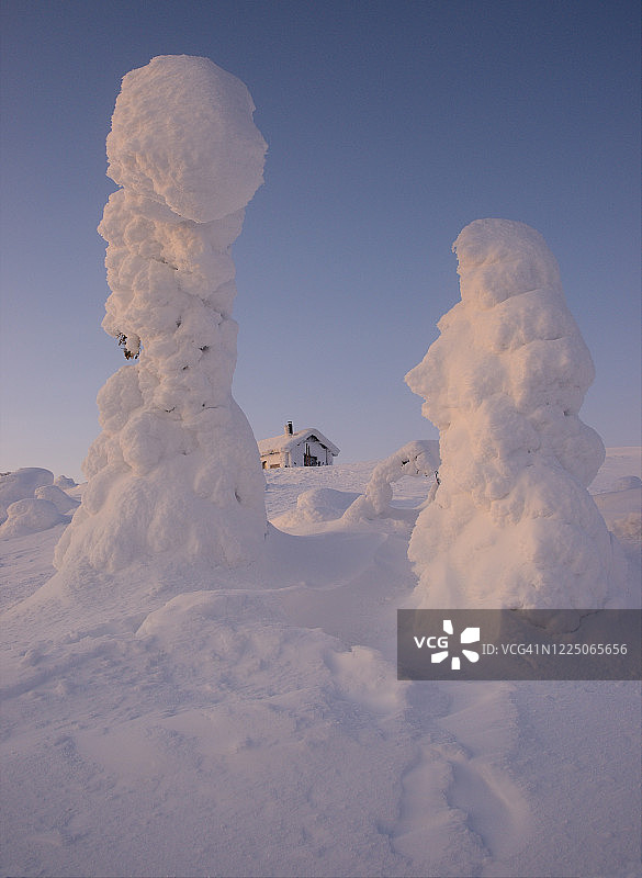 典型的北欧冬季景观，白雪覆盖的树木和山上的房子在美丽的日落光线。拉普兰日落时白雪覆盖的枞树上的人影。Ostrobothnia北部,芬兰。图片素材