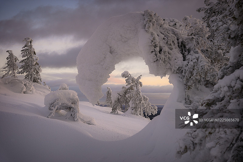 典型的斯堪的纳维亚冬季景观，在美丽的夕阳下，山上覆盖着白雪皑皑的树木。拉普兰日落时白雪覆盖的枞树上的人影。Ostrobothnia北部,芬兰。图片素材