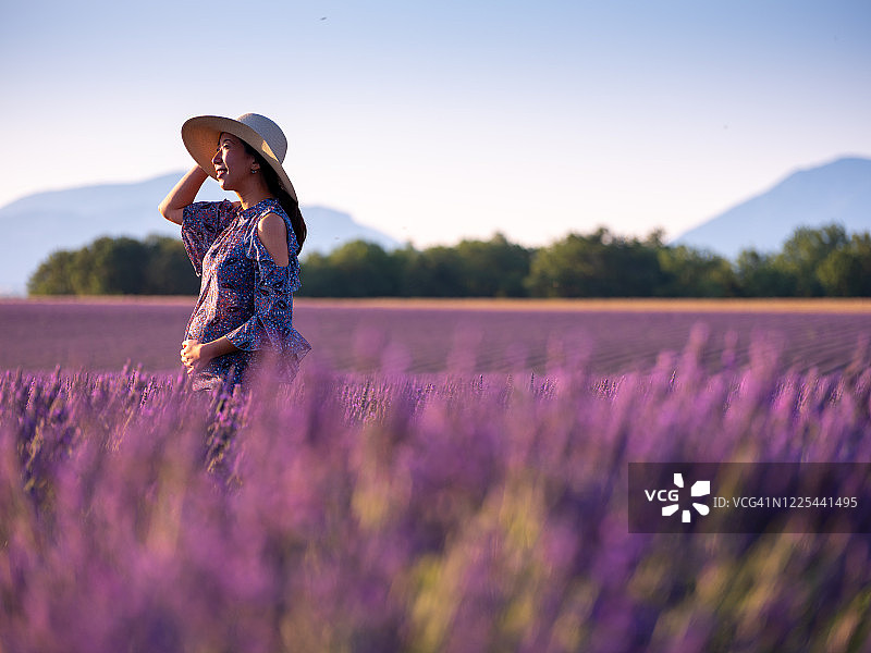 一名亚洲孕妇在薰衣草田里，抬头，法国普罗旺斯图片素材