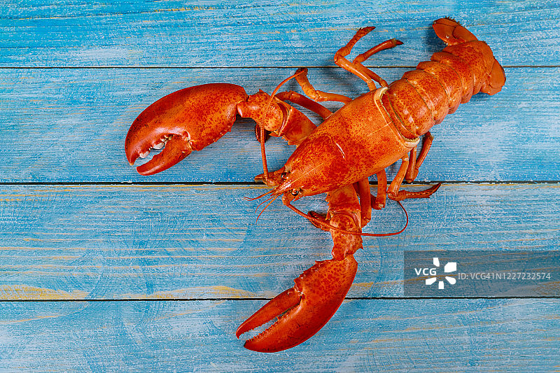 蓝色的旧木桌上放着美味的红龙虾海鲜。图片素材