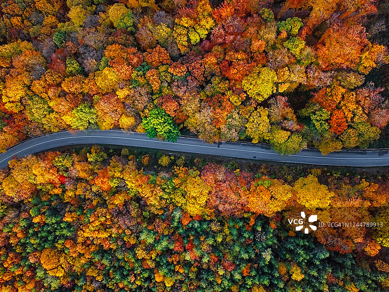 空中鸟瞰蜿蜒的山路内五彩缤纷的混合秋林图片素材