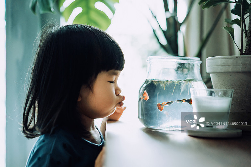 可爱的亚洲小女孩看着鱼缸，当鱼在接吻的时候，给鱼一个飞吻图片素材