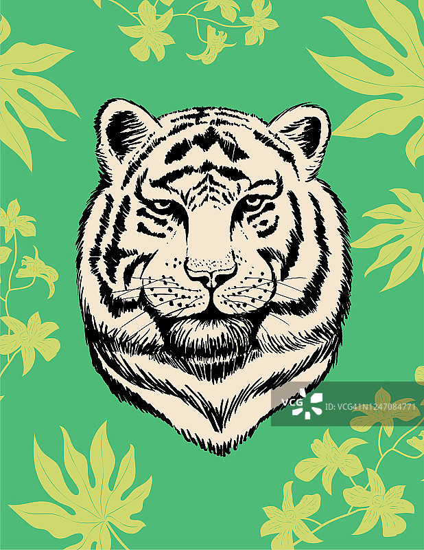 绿色的老虎和热带的叶子在彩色的背景图片素材