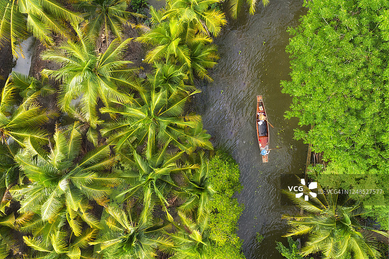 在椰子树上划船的不认识的人图片素材
